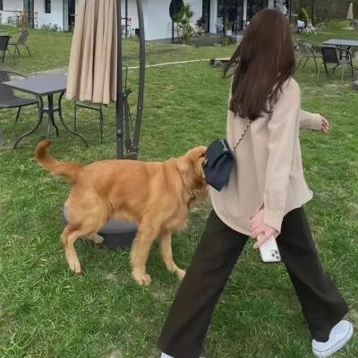 僵尸情人节